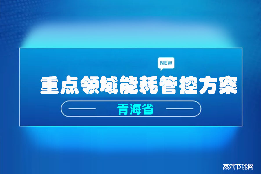 青海省“十四五”重点领域能耗管控方案