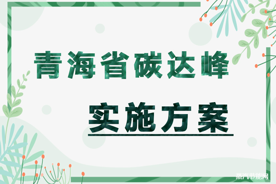 青海省碳达峰实施方案