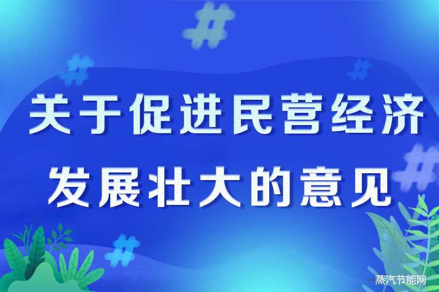 中央和国务院关于促进民营经济发展壮大的意见